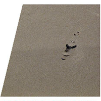 The foam-bottom mats fail in durability because they are easily ripped and shredded