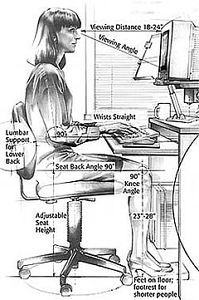 Anthropometry and sitting computer ergonomics