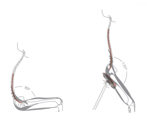Leaning Stool Posture Ergonomics