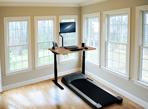 Elite Treadmill Desk + ThermoTread GT