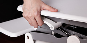 Flexispot standing desk workstation
