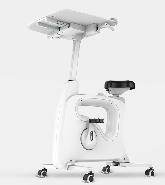 flexispot bike desk