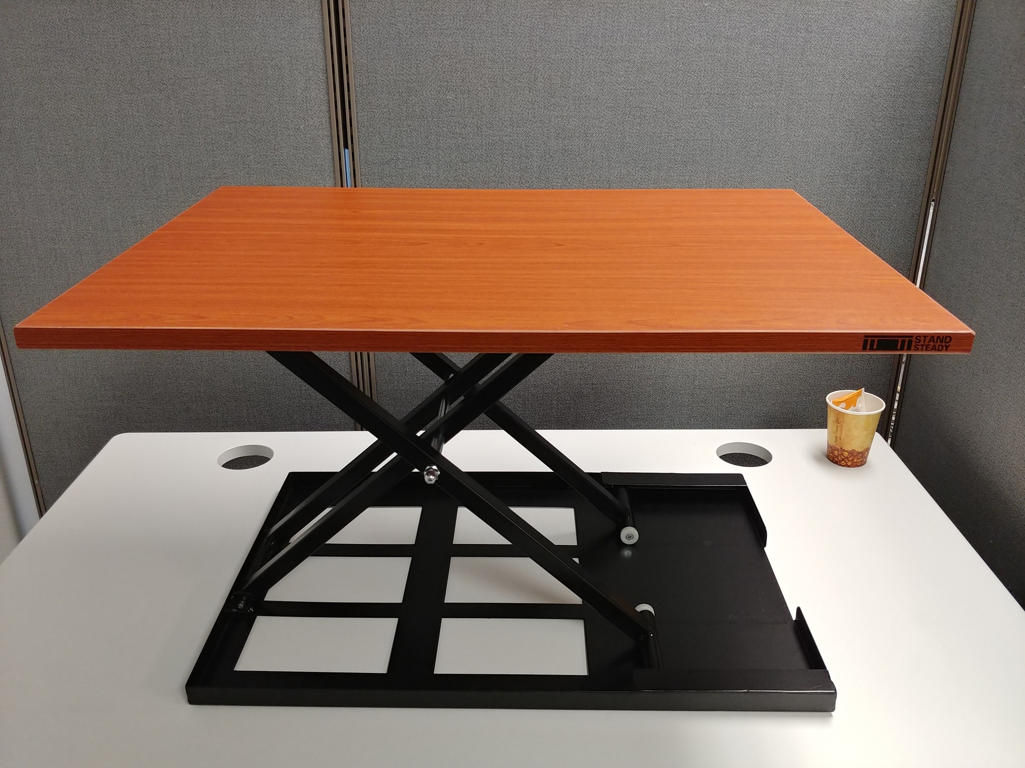 Stand Steady XElite Pro The Experts Review