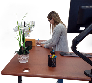 standup l-desk