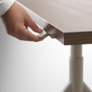 idasen standing desk controller