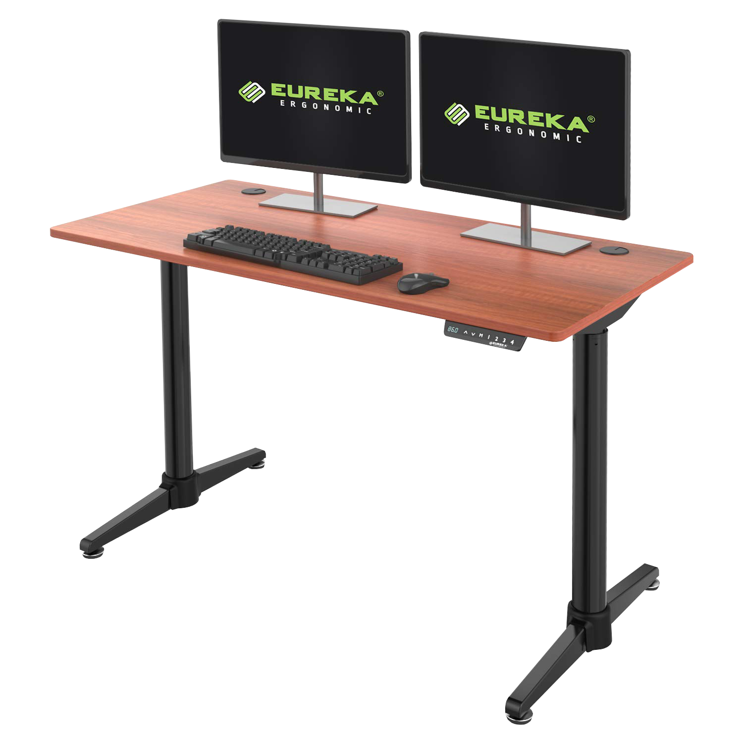 Costume Best Electric Height Adjustable Standing Desk with RGB