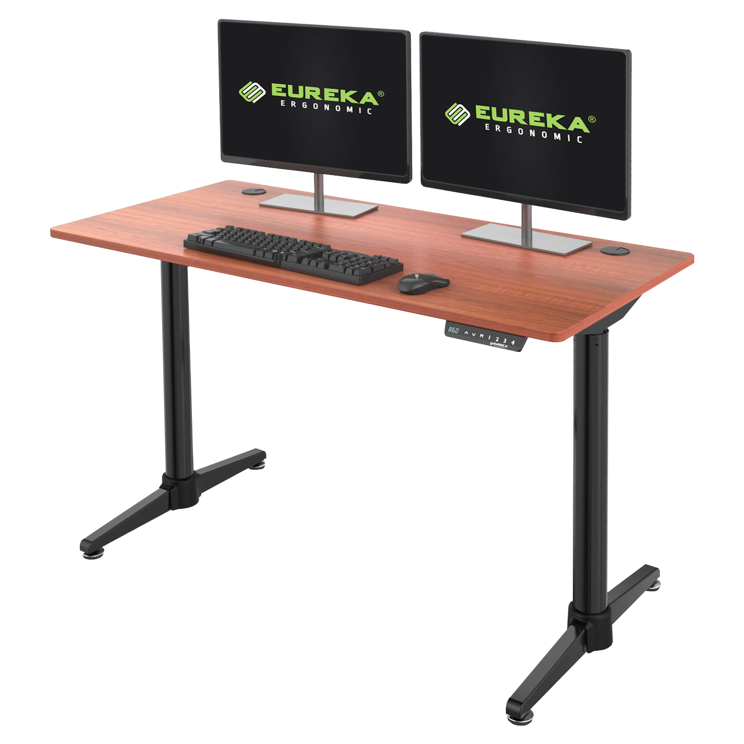 Costume Best Electric Height Adjustable Standing Desk with RGB