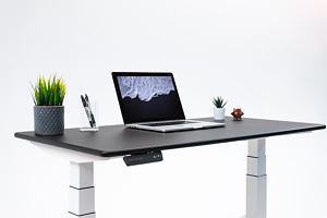 ZipDesk quickship standing desk