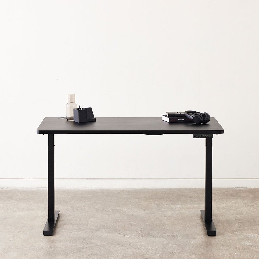 RISE Height Stand Up Desk Review