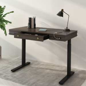 FlexiSpot Theodore, a standing desk with drawers