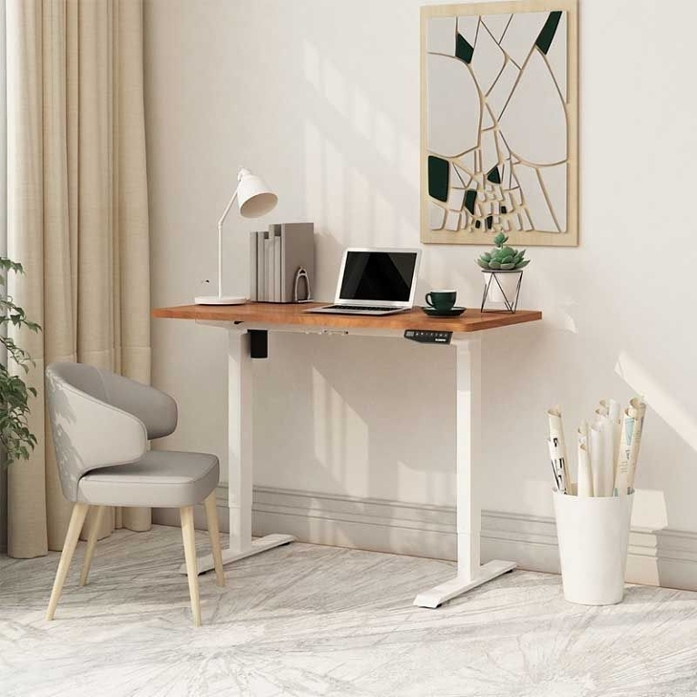FlexiSpot E1 Standing Desk Experts Review